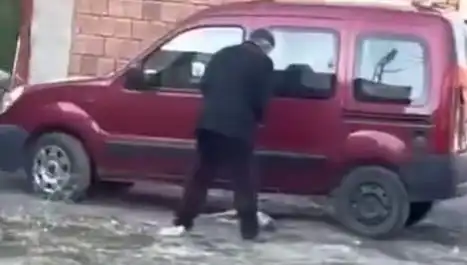 Sokak Ortasında Köpeğe Şiddet: Olayın Ardındaki Gerçekler
