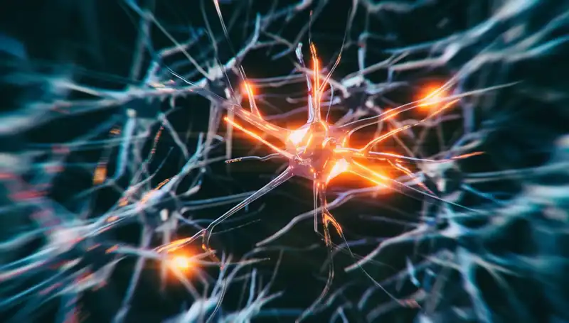 Alzheimer Vakalarındaki Artışın Arkasındaki Gizemli Sebepler