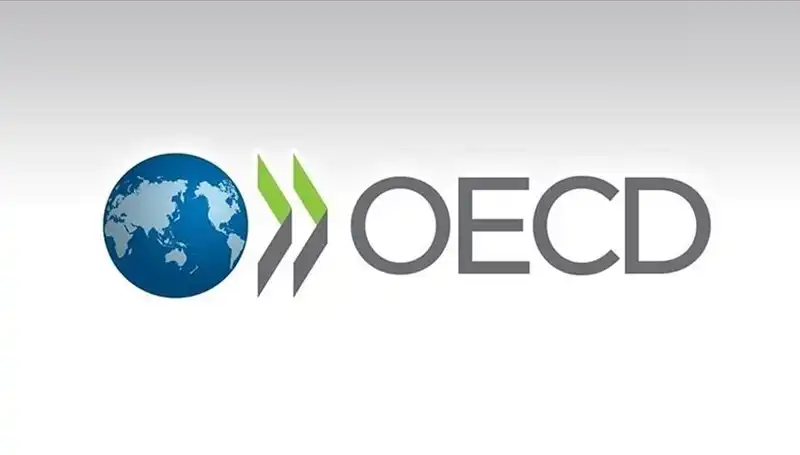 OECD, Türkiye'nin Ekonomik Büyüme Tahminini Revize Etti: Neler Bekleniyor?
