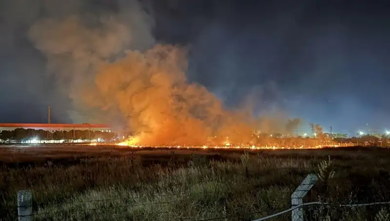 İzmir Gece Yarısı Korkutan Yangın: Olayın Ardındaki Sebepler Neler?
