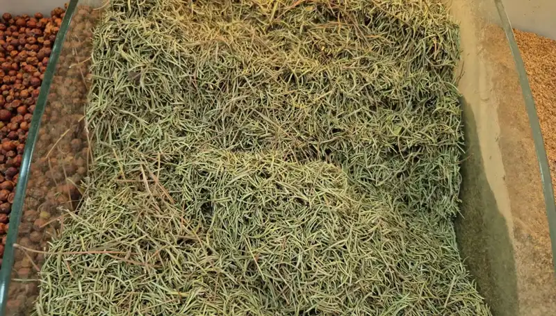 Yaz Aylarında İnternette Satışı Artan Ürünler: Ölüme Kadar Götürüyor!