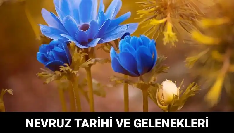 Neydi bu Kutlu Sel? Nevruz Bayramı'nın Gizemli Hikayesi ve Gelenekleri