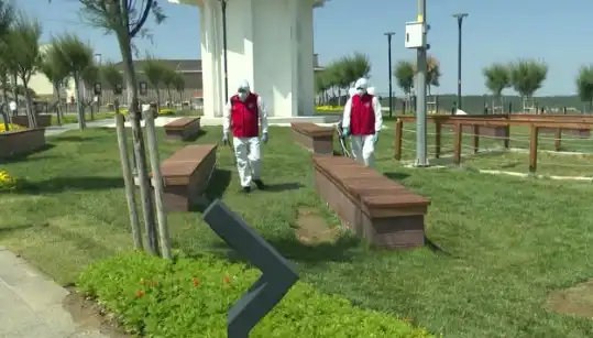 Kene Tehlikesi Artıyor: Halka Açık Alanlarda İlaçlama Önlemleri