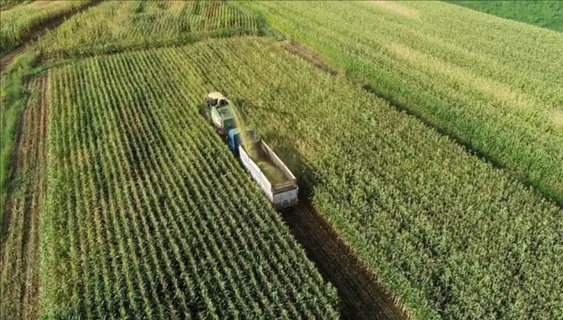 2025 Mart Ayı Mazot ve Gübre Desteği Ödemeleri: Son Durum ve Beklentiler