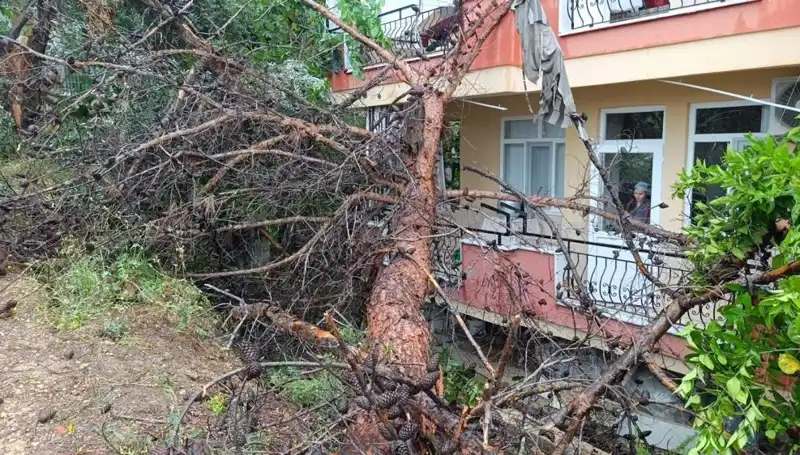 Yağmurun Etkisiyle Bina Çöktü, Şok Edici Manzaralar Ortaya Çıktı!