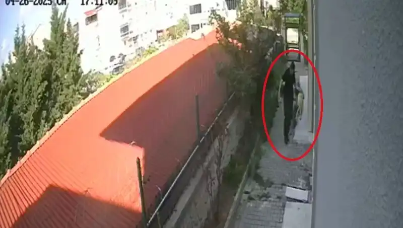 Türkiye'de Doktorun Sahiplendiği Köpekleri Evde Parçalayıp Öldürmesi Şok Etti