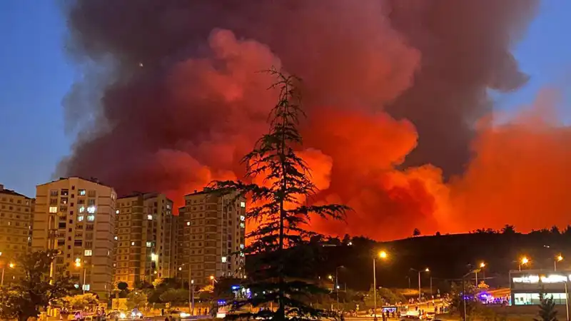 Bursa'da Yangınlar Şehrin Havayı Kirlilik İçine Sürüklüyor: Neler Oluyor?
