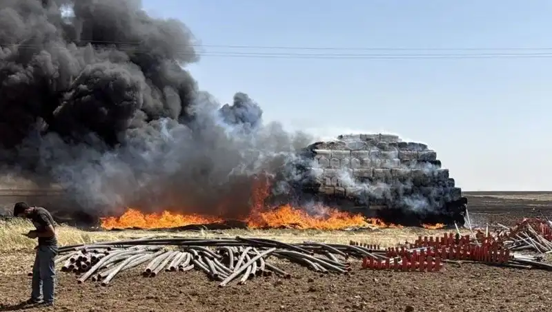 Mardin'de Anız Yangını Kontrol Altına Alındı: Tarım Alanları Tehlikede