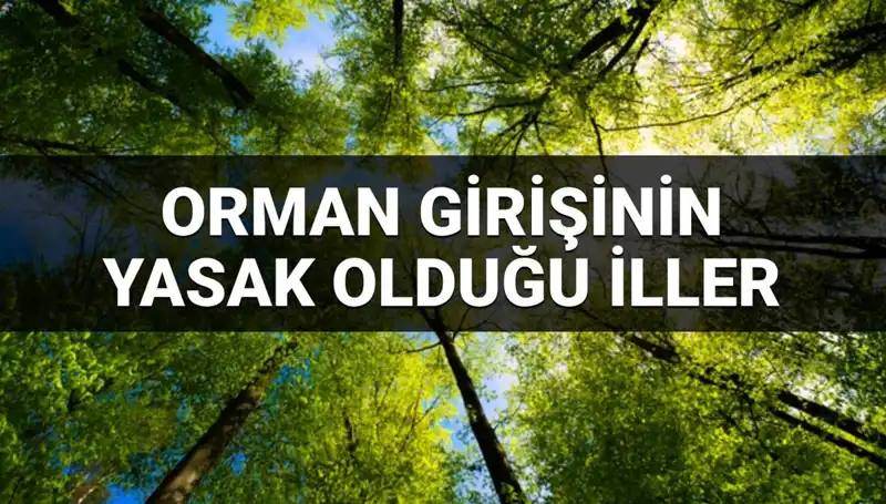 2025’te Hangi İllerde Ormana Girmek Yasak? İşte Detaylar!