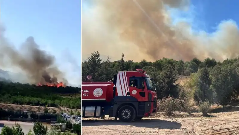 Gebze'de Tutuşan Orman Yangını: Ekipler Seferber Oldu