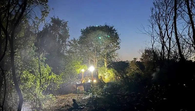 Edirne’deki Orman Yangını Kontrol Altına Alındı: Detaylar Burada!