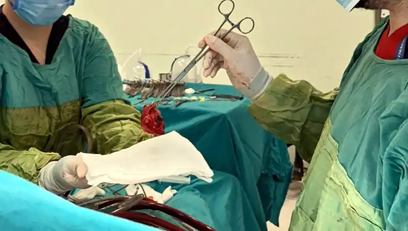 Doktorların Mucizeleri: Kalp Kapağı Çürümüş Hasta 7 Saatlik Ameliyatla Hayata Döndü