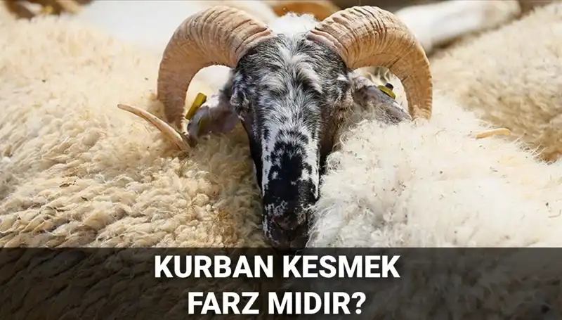 Kurban Kesmek Farz mı? Diyanet'in Açıklamalarıyla Şartlar Ve Hükümler