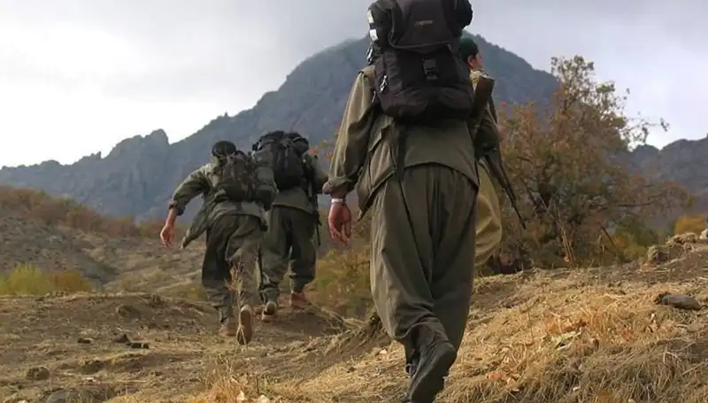 Türkiye'de Terörsüz 48 Saat: Öcalan’ın Mesajı Kandil’e Ulaşacak mı?