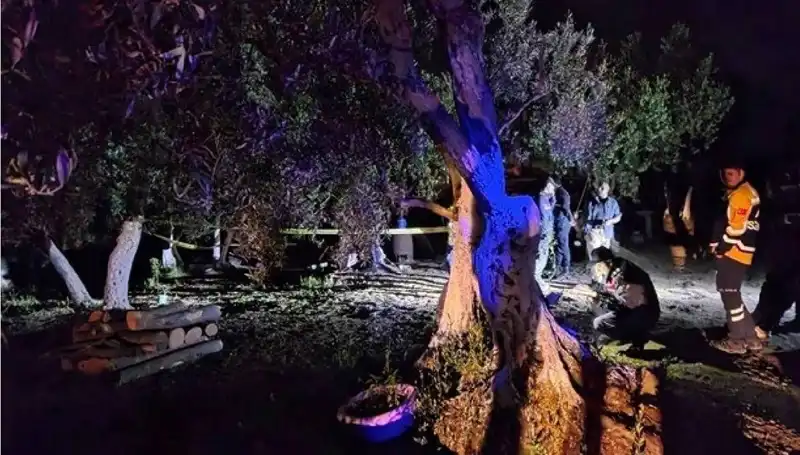 Çiftlikte Baltalı Vahşet: Olayın Ardındaki Gizemli Detaylar Açığa Çıktı