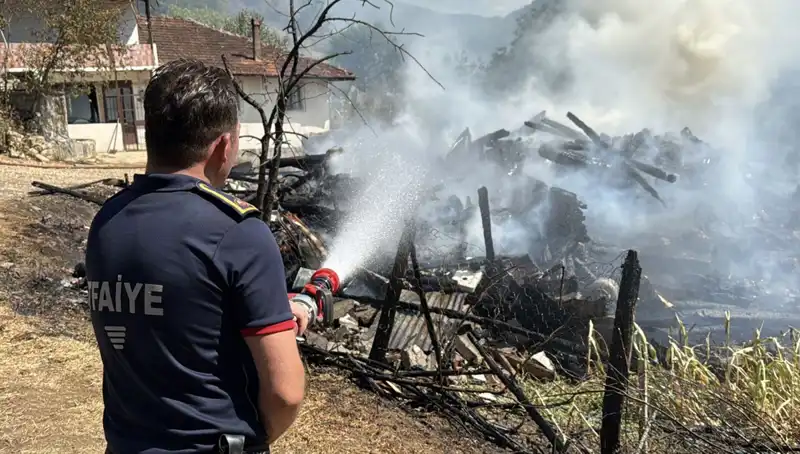 Evdeki Yangın Ormanı Tehdit Etti: Yangında Hayatını Kaybedenler ve Kurtarma Çabaları