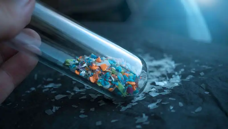 Mikroplastikler İnsan Beynine Ulaşıyor: Sağlık Üzerindeki Etkileri Neler?